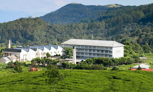 Tour of Ceylon Tea Production Factory